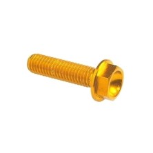 Hexagonal head Screw Erg. Cl 004 M6 L. 80 - 004M6080GOLDEN / GOLDEN