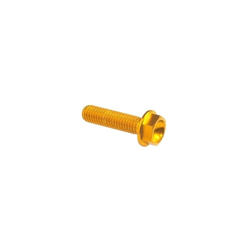 Tornillo cabeza hexagonal Erg. Cl 004 M6 L. 80 - 004M6080ORO / ORO