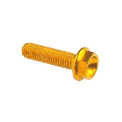 Hexagonal head Screw Erg. Cl 004 M6 L. 80 - 004M6080GOLDEN / GOLDEN