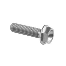 Hexagonal head Screw Erg. Cl 004 M6 L. 80 - 004M6080SIL / SILVER