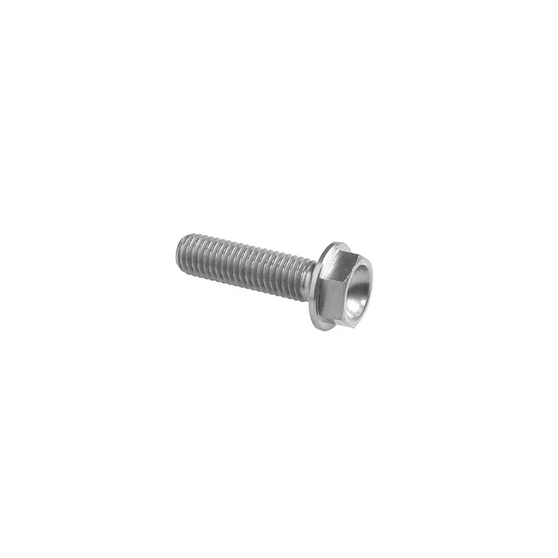 Tornillo cabeza hexagonal Erg. Cl 004 M6 L. 80 - 004M6080SIL / PLATA