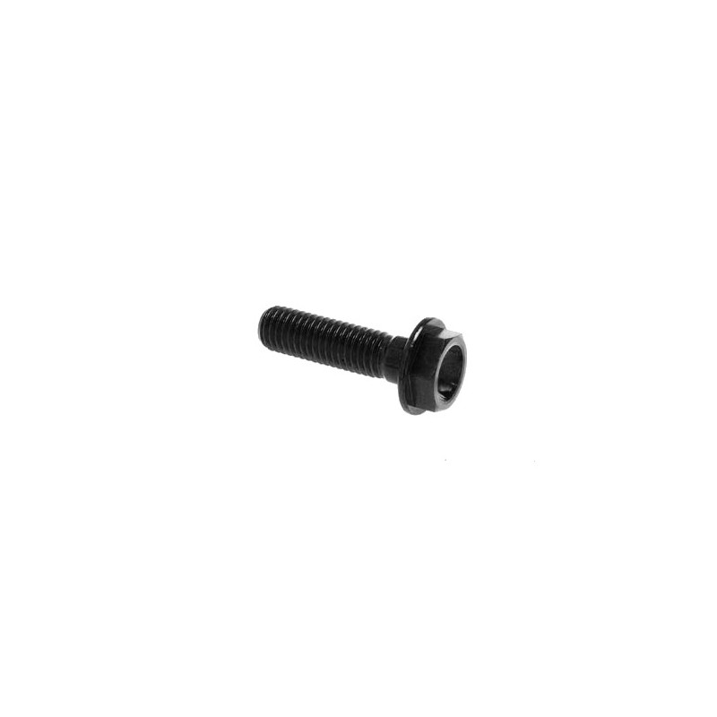 Hexagonal head Screw Erg. Cl 004 M6 L. 85 - 004M6085NER / BLACK SHINE