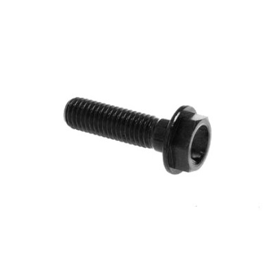 Hexagonal head Screw Erg. Cl 004 M6 L. 85 - 004M6085NER / BLACK SHINE