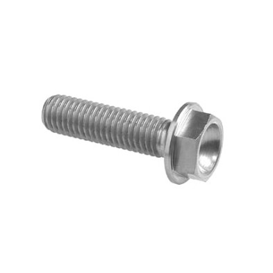 Hexagonal head Screw Erg. Cl 004 M6 L. 90 - 004M6090SIL / SILVER