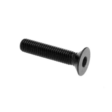 Tornillo cabeza plana Erg. Cl 005 M4 L. 10 - 005M4010NER / NEGRO BRILLANTE