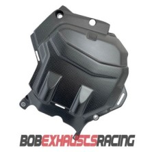 CYLINDER COVER CARBON DUCATI MULTISTRADA V4