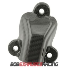 WATERPUMP COVER CARBON BMW S1000 RR