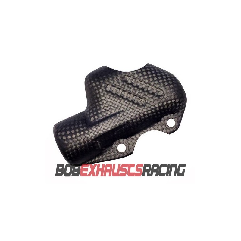 BRAKEPUMP COVER CARBON DUCATI PANIGALE V4