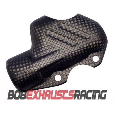 BRAKEPUMP COVER CARBON DUCATI PANIGALE V4