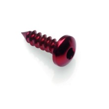 Sheet metal Screw 002 Ø 4,5x13 Ergal - PAC24513ROS / RED