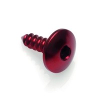 Sheet metal Screw 003 Ø 4,5x13 Ergal - PAC34513ROS / RED