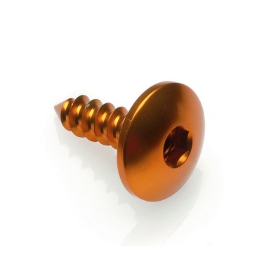 Sheet metal Screw 003 D4,5x16 Ergal - PAC34516GOLDEN / GOLDEN