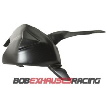 SWINGARM COVER CARBON DUCATI PANIGALE V2