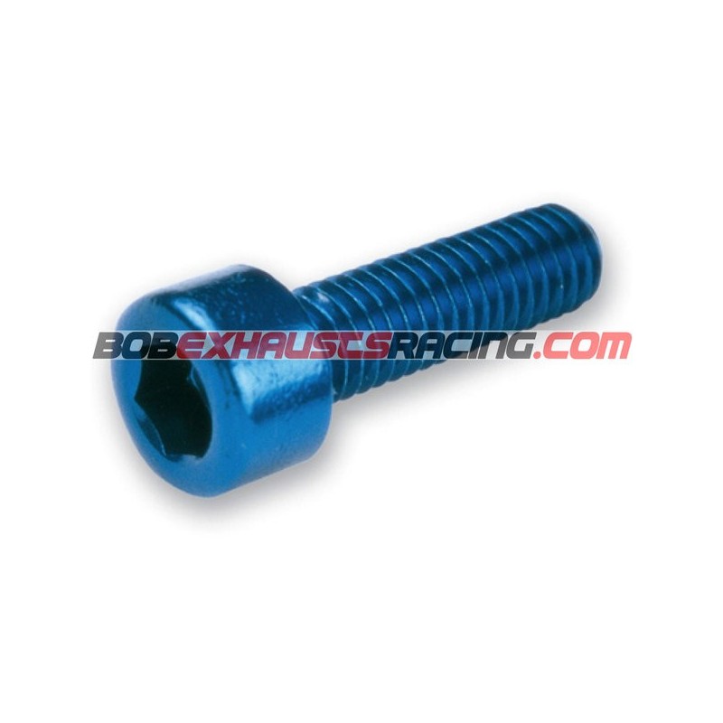 ANODIZED ALLEN SCREWS