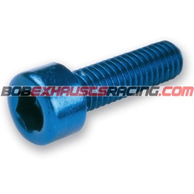 ANODIZED ALLEN SCREWS