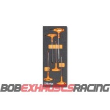 BETA ASSORTMENT OF 5 TORX KEYS WITH THERMOFORMED TRAY (M55)