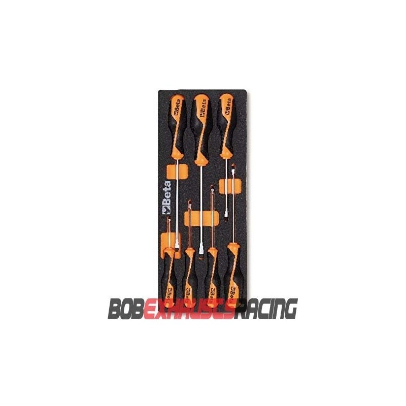 BETA ASSORTED FLAT SCREWDRIVERS IN THERMOFORMED TRAY M199