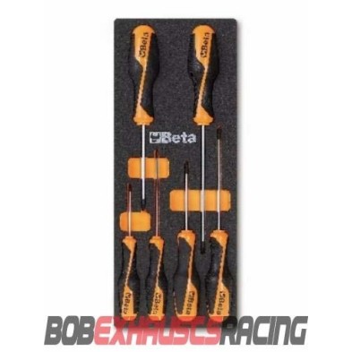 BETA ASSORTMENT PHILLIPS® CROSS SCREWDRIVERS IN THERMOFORMED TRAY M202