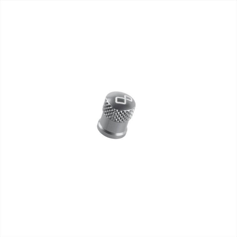 Tire valve cap - VALSIL / SILVER