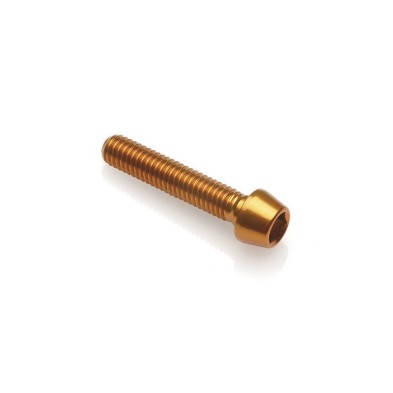 Hexagonal Screw Erg. Cl 001 M10 X 1,5 L. 20 - 001M10020GOLDEN / GOLDEN