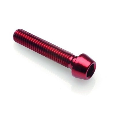 Hexagonal Screw Erg. Cl 001 M10 X 1,5 L. 20 - 001M10020ROS / RED