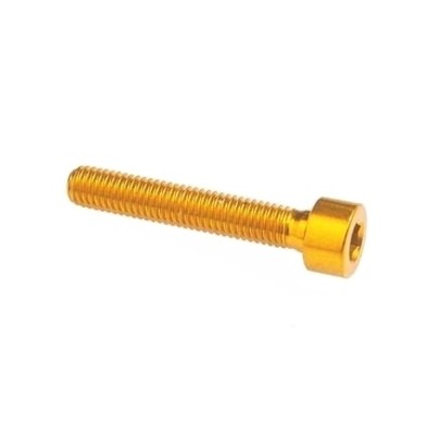 Hexagonal Screw Erg. Cl 001 M4 L. 10 - 001M4010GOLDEN / GOLDEN