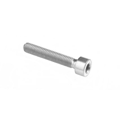 Hexagonal Screw Erg. Cl 001 M4 L. 10 - 001M4010SIL / SILVER