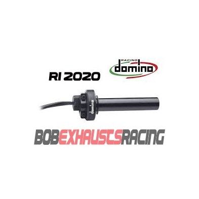 DOMINO ELECTRONIC THROTTLE R1 2020-