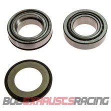 ALL BALLS STEERING BEARING KIT 22-1055