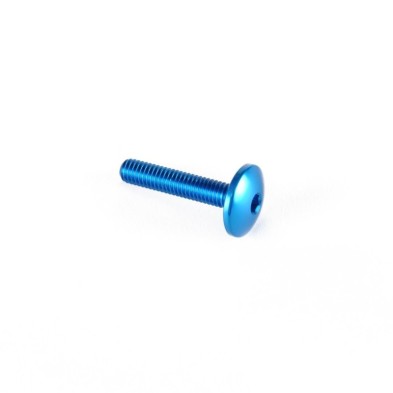 Dome-head Screw Erg. Cl 002 M4 L. 10 head Ø10  Ergal (7075 T6) - 002M4010COB / COBALT