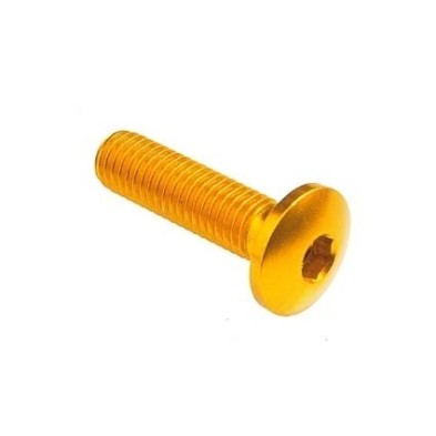 Dome-head Screw Erg. Cl 002 M4 L. 10 head Ø10  Ergal (7075 T6) - 002M4010GOLDEN / GOLDEN