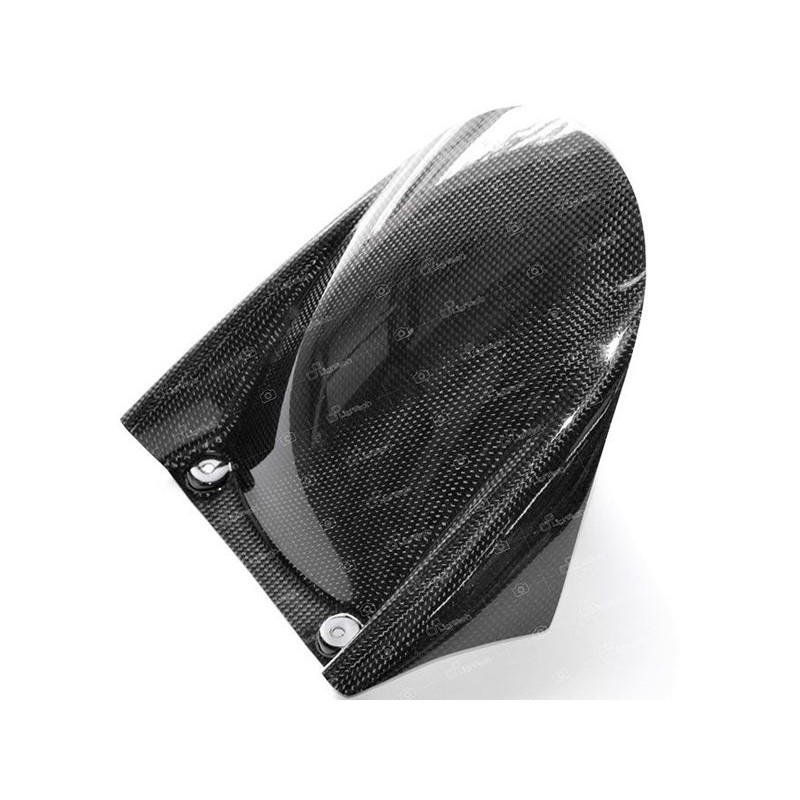 Carbon rear mudguard - CARA3021