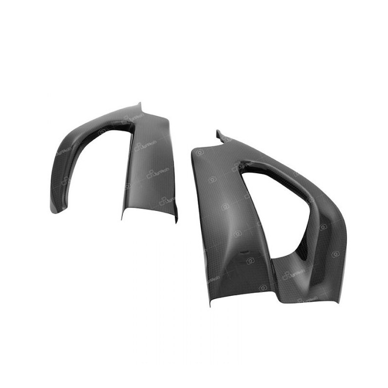 Swingarm carbon protection (set) - CARS6561