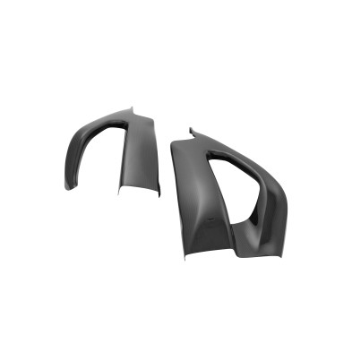 Swingarm carbon protection (set) - CARS6561