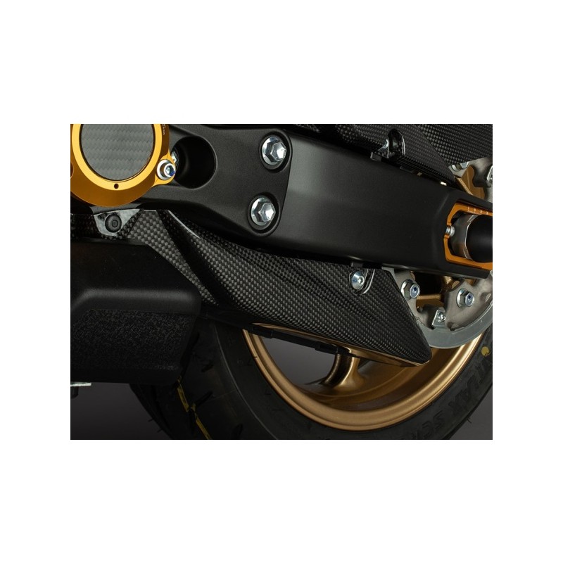 Carbon lower belt cover - CARY4915