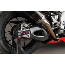 copy of Swingarm carbon protection (set) - CARA4061