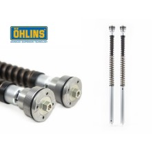 OHLINS CARTRIDGE NIX30 YAMAHA YZF R6 08-12 FGK202