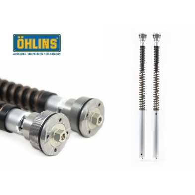 OHLINS CARTRIDGE NIX30 YAMAHA YZF R6 08-12 FGK202