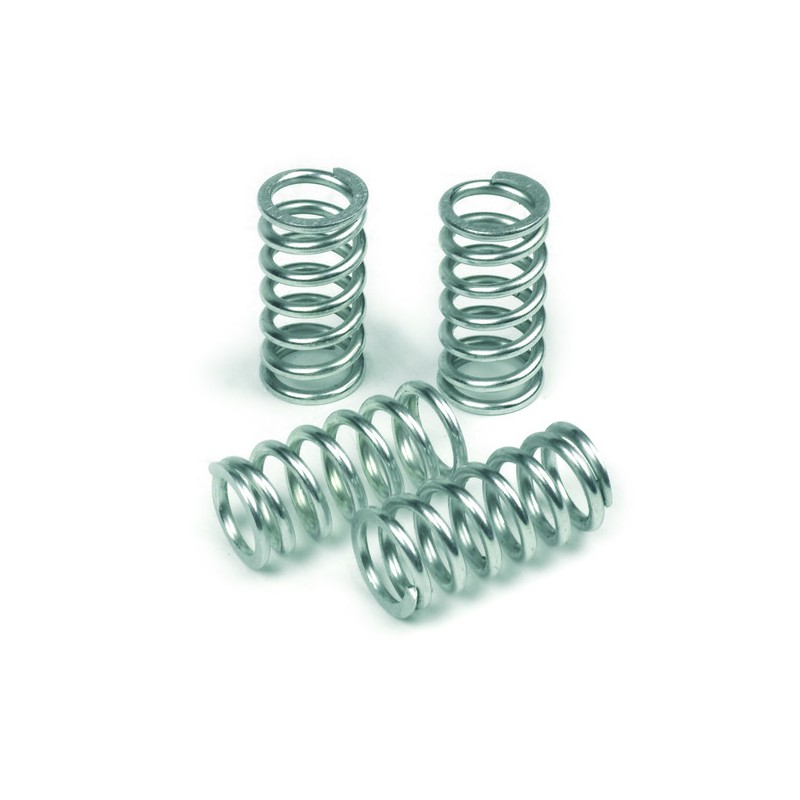 TRW SUZUKI CLUTCH SPRING KIT