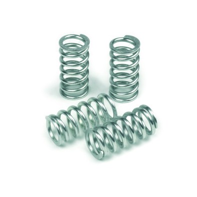 TRW KAWASAKI CLUTCH SPRING KIT