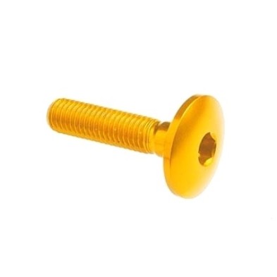 Tornillo cabeza abombada Erg. Cl 003 M5 L. 10 cabeza Ø14  Ergal (7075 T6) - 003M5010ORO / ORO