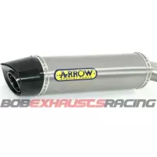ARROW Maxi Race-Tech CARBON PIPE /  BMW R 1200 GS '04/05