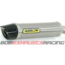 ARROW Maxi Race-Tech CARBON PIPE /  BMW R 1200 GS - GS Adventure '06/09