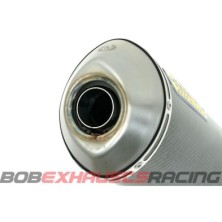 ARROW Maxi Race-Tech INOX PIPE /  BMW R 1200 GS - GS Adventure '10/12