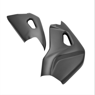 Swingarm carbon protection (set) - CARA4061