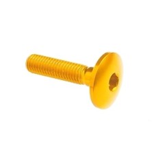 Dome-head Screw Erg. Cl 003 M8 L. 20 head Ø22  Ergal (7075 T6) - 003M8020GOLDEN / GOLDEN