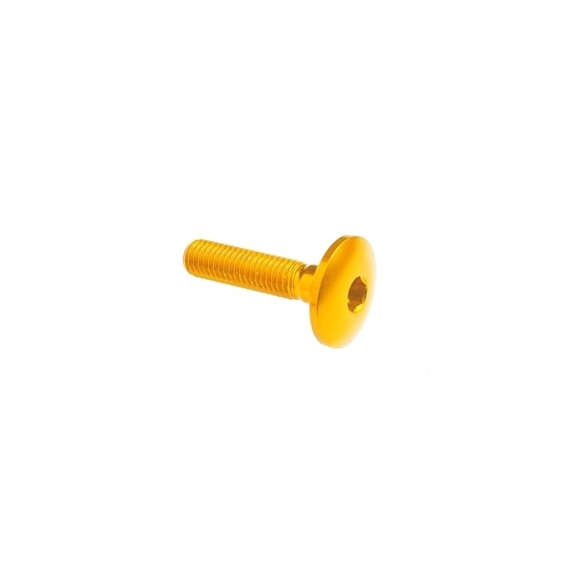 Dome-head Screw Erg. Cl 003 M8 L. 20 head Ø22  Ergal (7075 T6) - 003M8020GOLDEN / GOLDEN