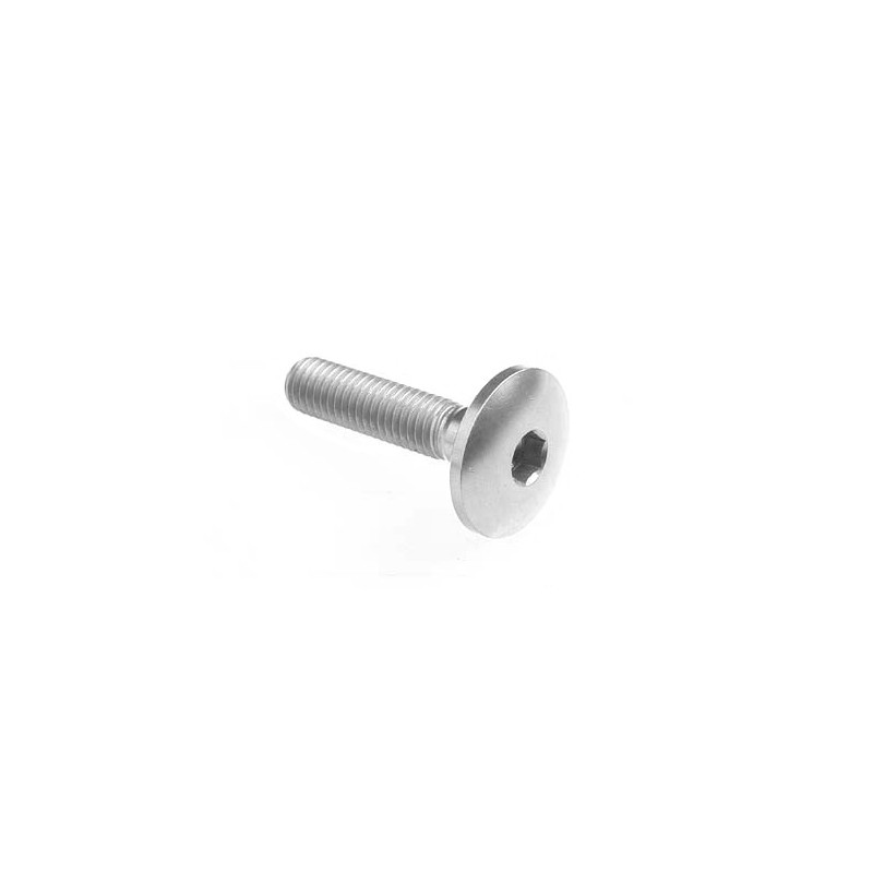 Dome-head Screw Erg. Cl 003 M8 L. 25 head Ø22  Ergal (7075 T6) - 003M8025SIL / SILVER