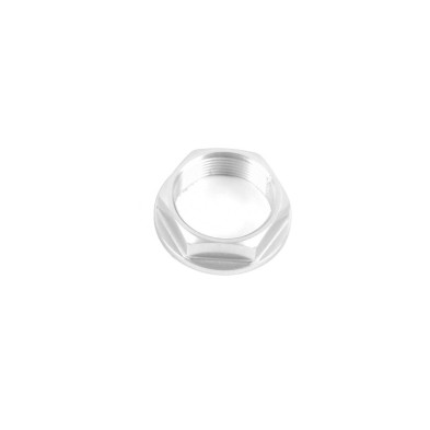 Special nut 25 X 1,25 Ergal - D019SIL / SILVER